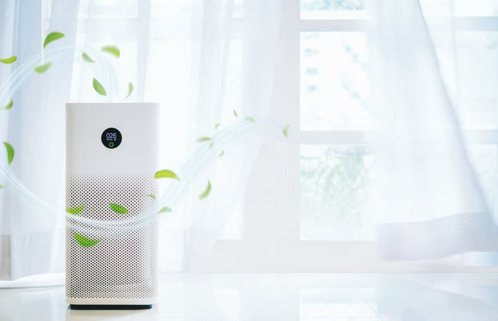 Top-Rated Respiratory Health Products