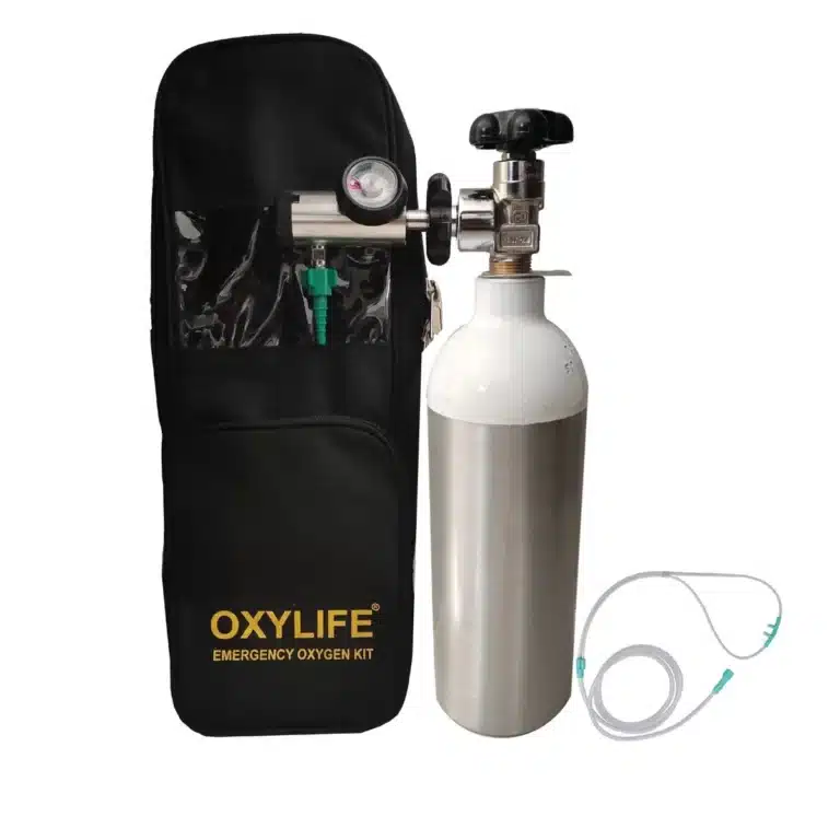 portable oxygen cylinder price